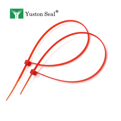 cable tie seal