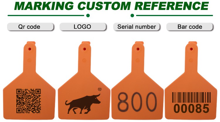 ear tag ear tag