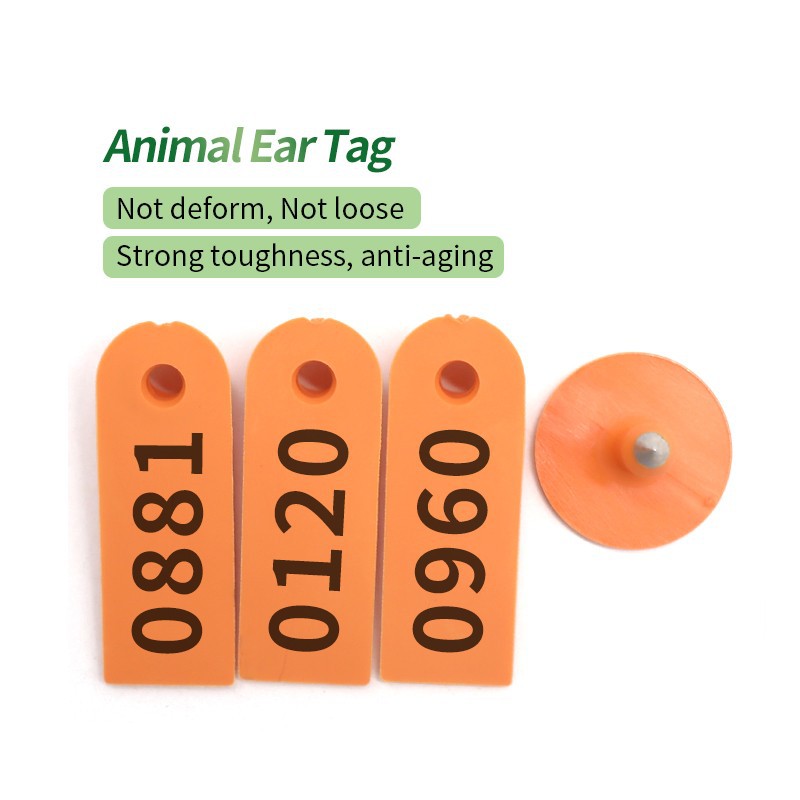Sheep Ear Tags