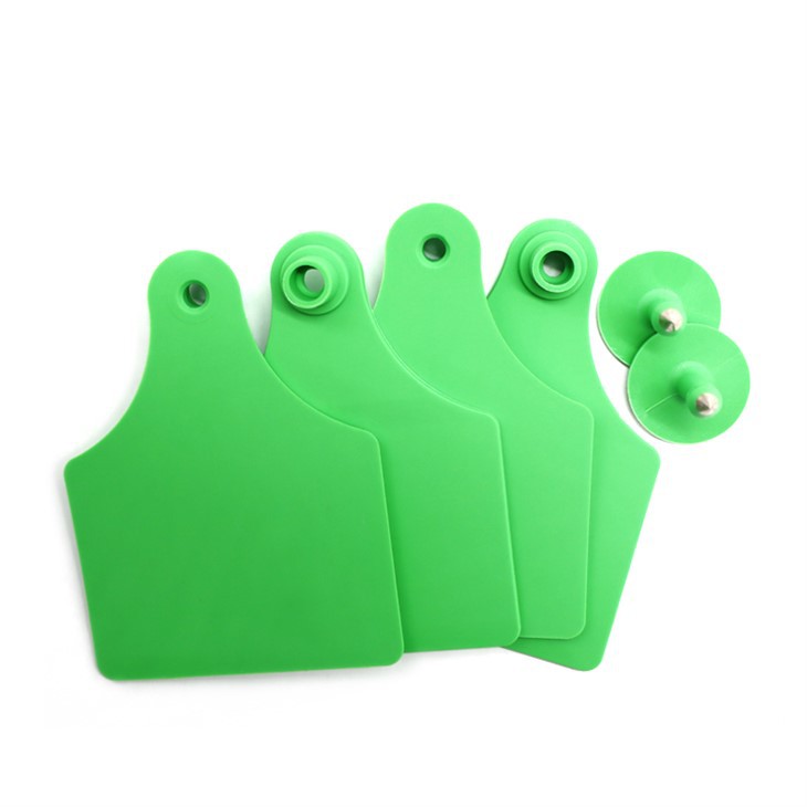 sheep electronic ear tags