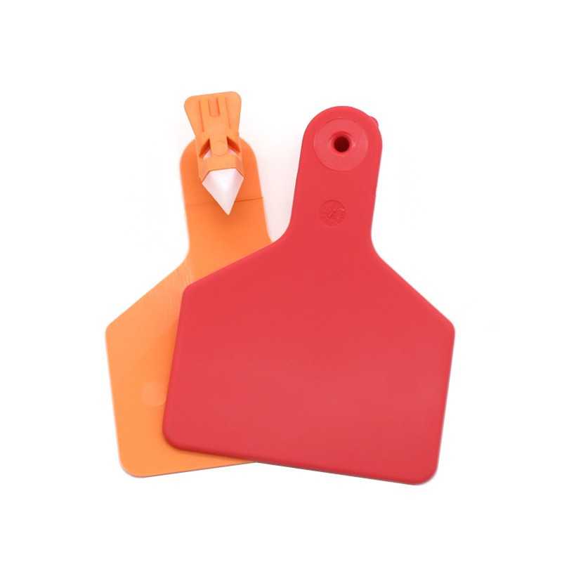 Pig Ear Tag