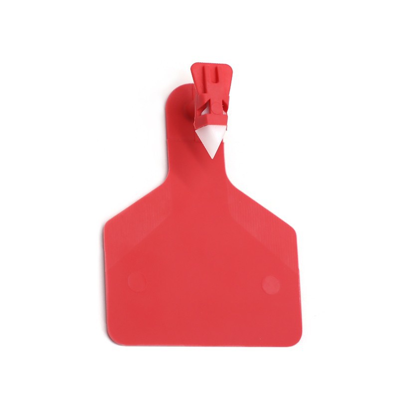 Ear Tag For Cows