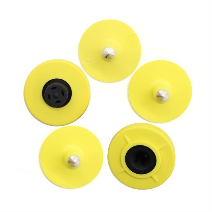 ear tags for livestock