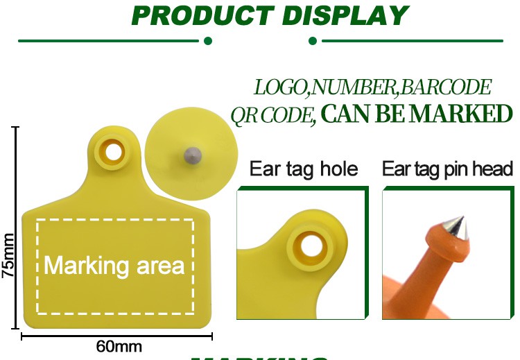 product-750-519