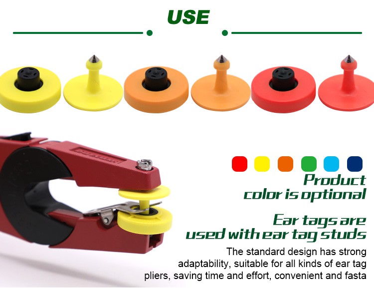 product-750-585 product-750-585