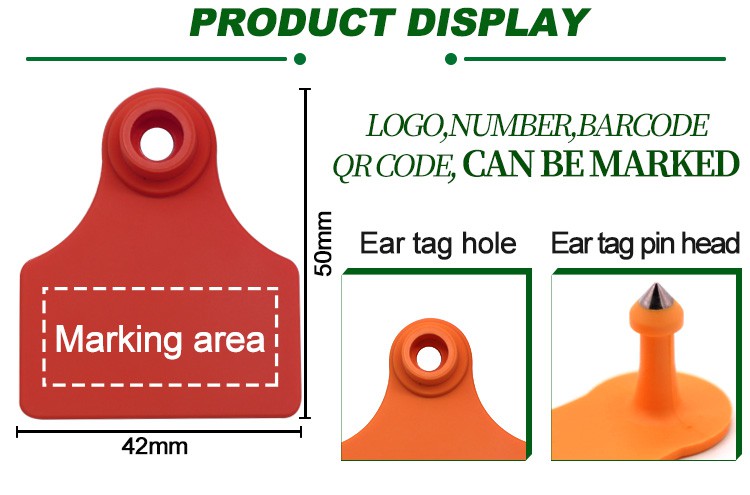 product-750-495