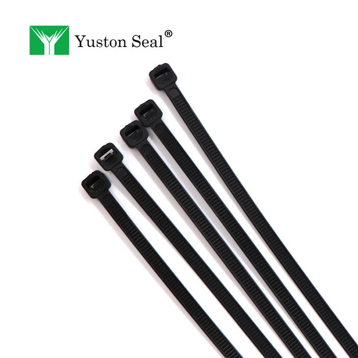 cable tie security seal
