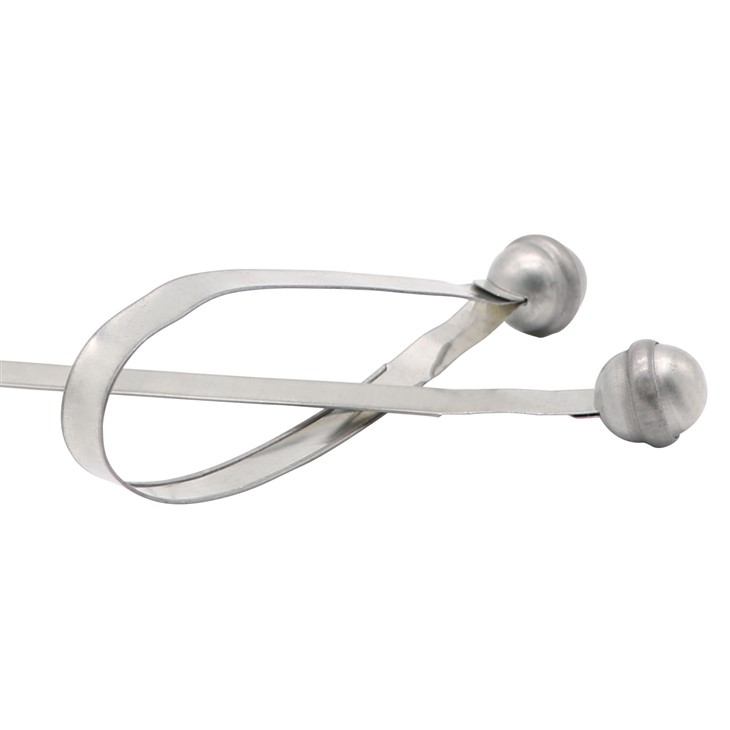 container metal strap seal