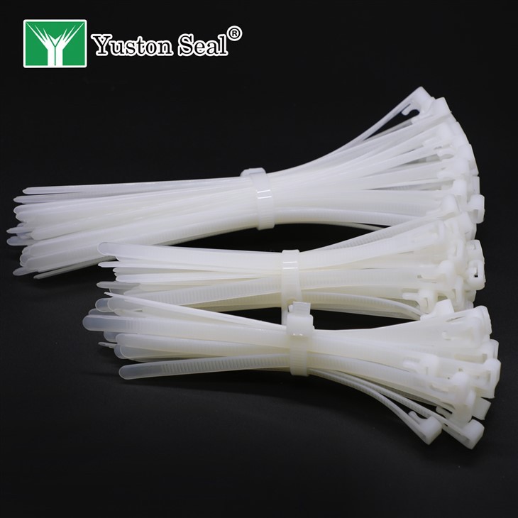 cable tie seal