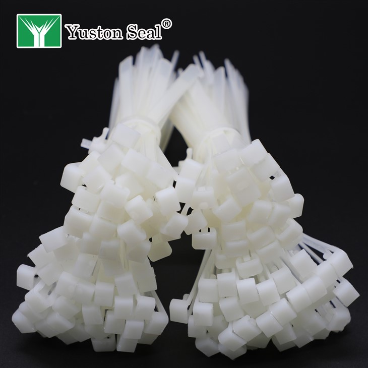 Nylon cable tie