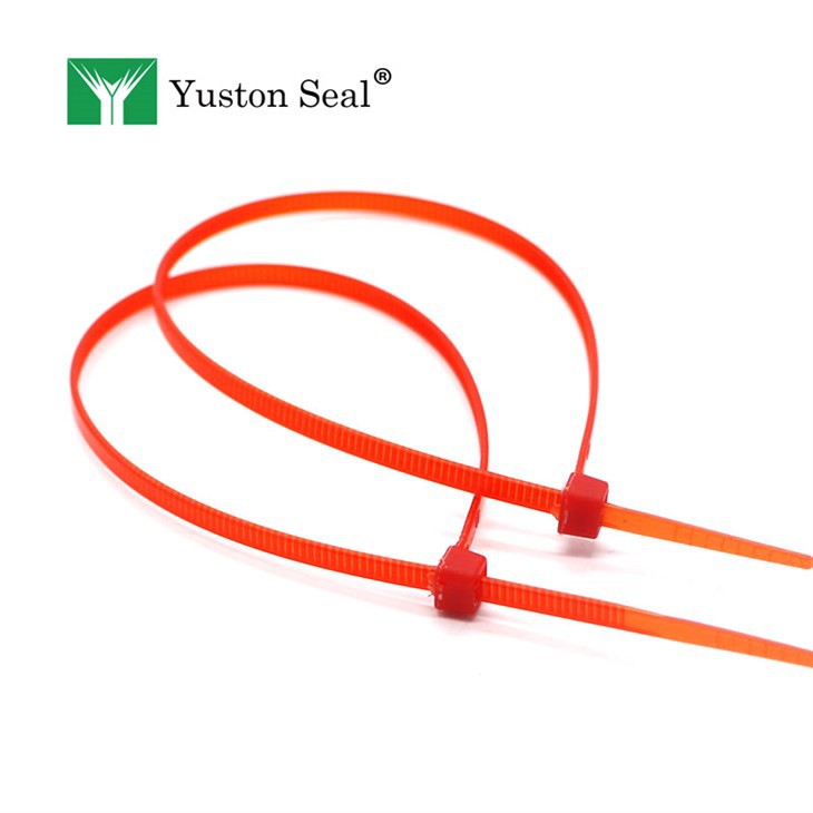 Nylon cable tie