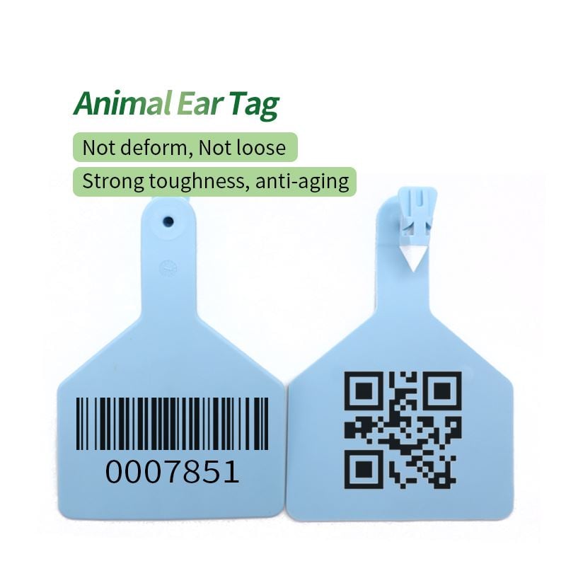 Cattle Ear Tags