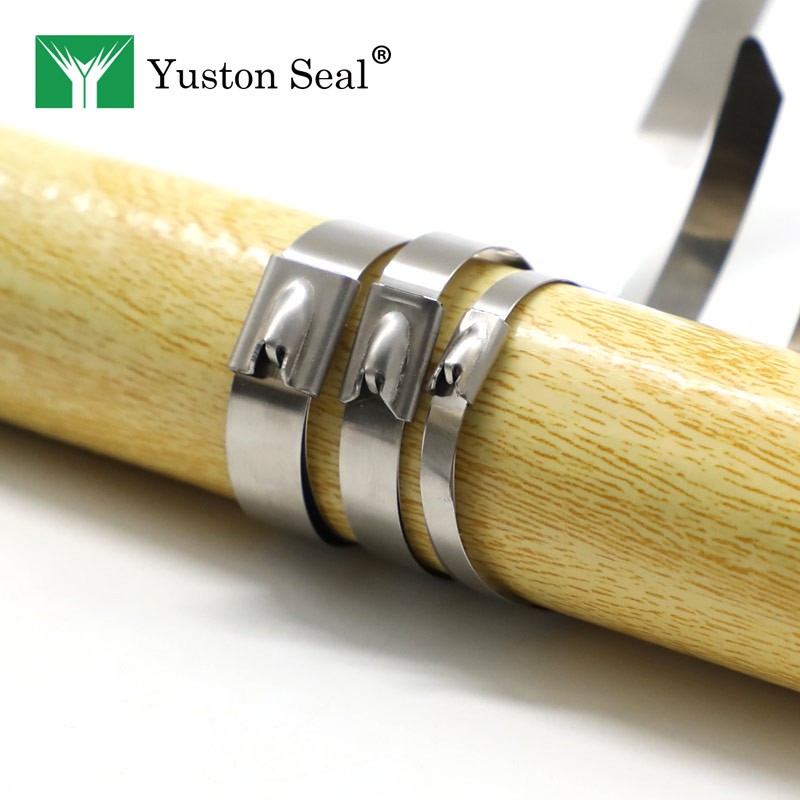 Stainless Steel Locking Wire Ties